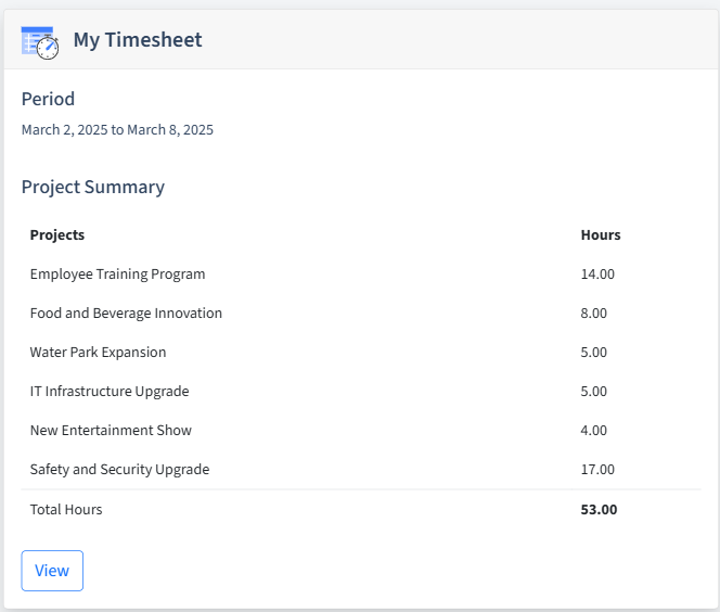 Amusement Parks Timesheet Dashboard