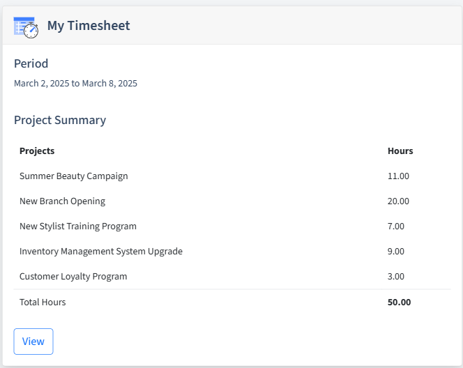 Beauty Salons Timesheet Dashboard