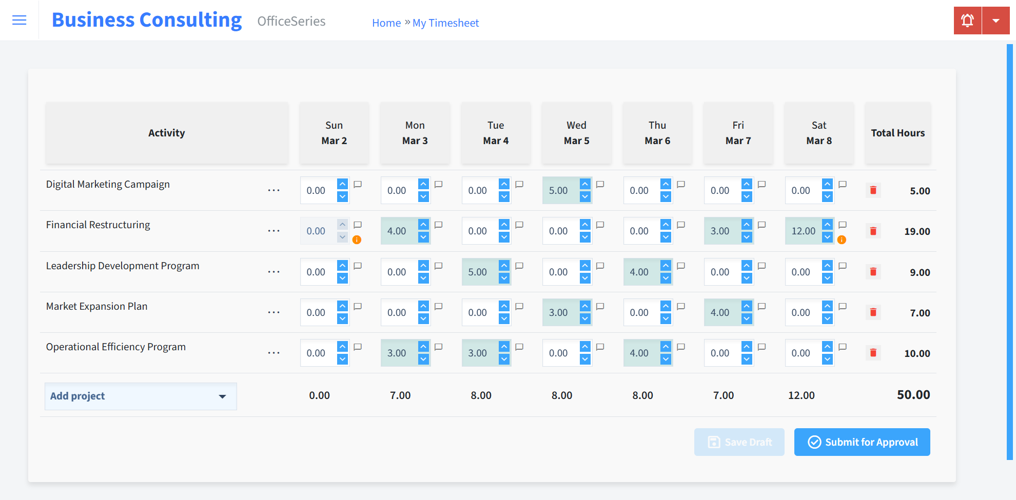 Business Consulting Timesheet Time Entry