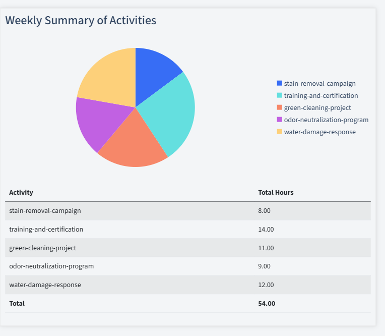 Carpet Cleaning Timesheet Activity Summary