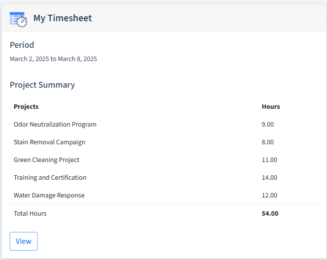 Carpet Cleaning Timesheet Dashboard