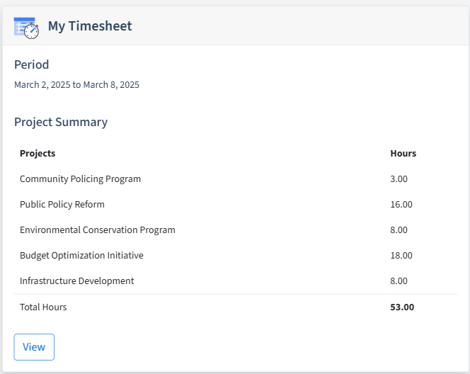 Government Timesheet Dashboard