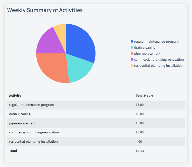 Plumbing Timesheet Activity Summary