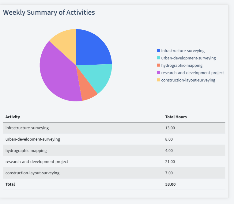 Surveying Timesheet Activity Summary