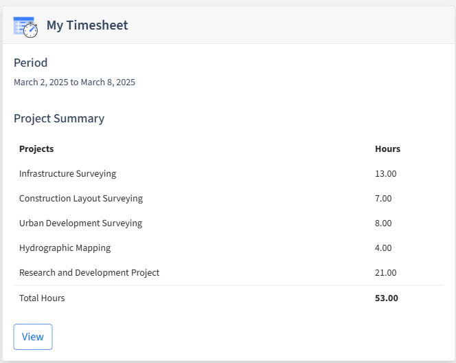 Surveying Timesheet Dashboard