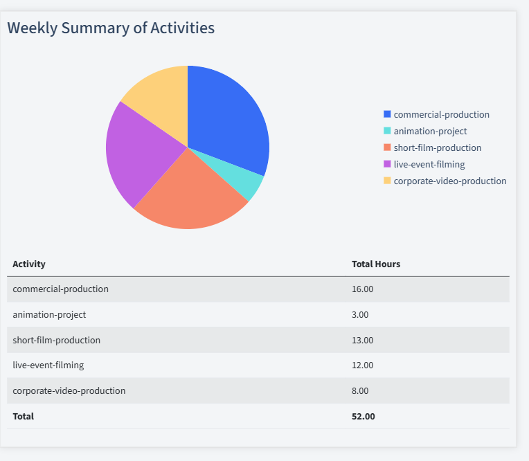 Video Production Timesheet Activity Summary