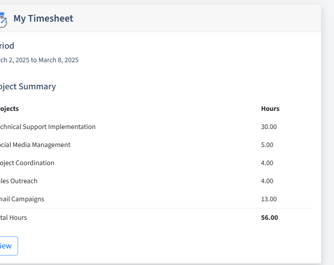 Virtual Assistance Timesheet Dashboard